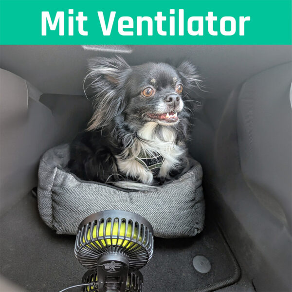 Ventilator Auto – Bild 3