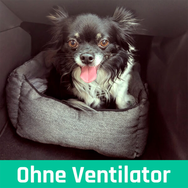 Ventilator Auto – Bild 2